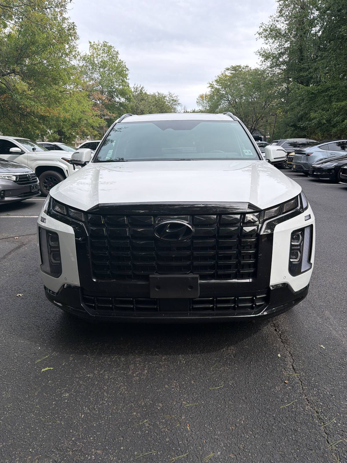 2024 Hyundai Palisade Calligraphy Black Edition for sale in Warren, NJ — photo 1